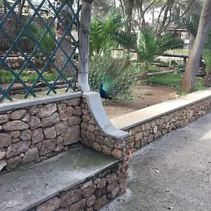 Kwatera prywatna 16